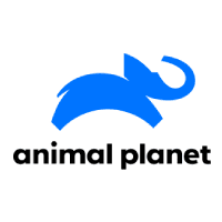 Watch Animal Planet Live